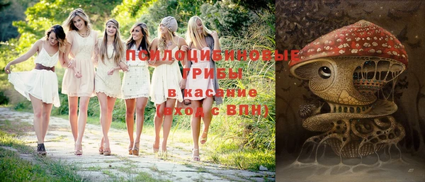 шишки Абаза