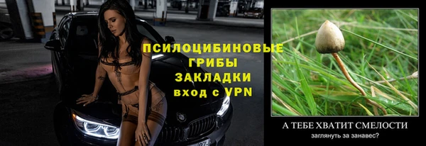 шишки Абаза