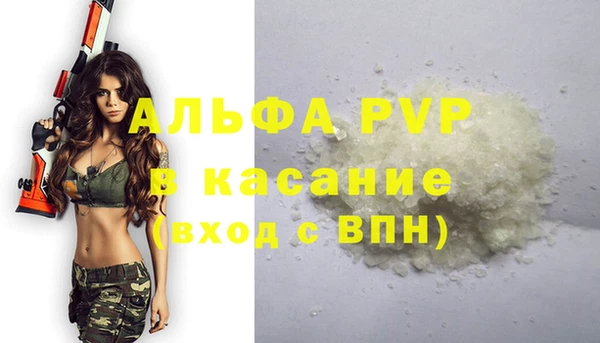 шишки Абаза