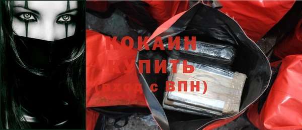 шишки Абаза