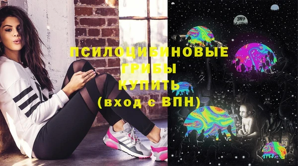 PSILOCYBIN Абинск