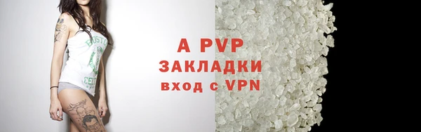 шишки Абаза