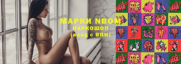 шишки Абаза