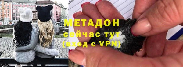 шишки Абаза
