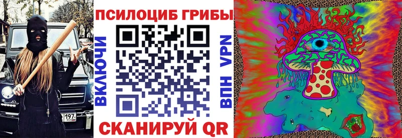 Галлюциногенные грибы Psilocybe Кандалакша